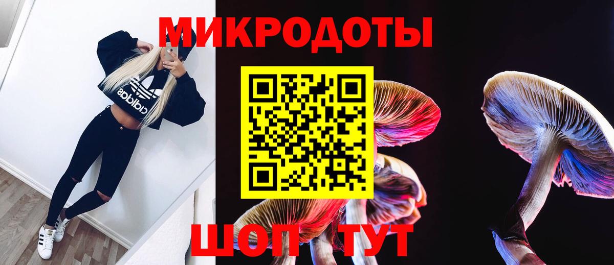 Псилоцибиновые грибы MAGIC MUSHROOMS Кисловодск